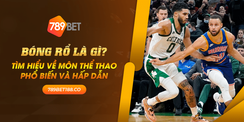 23 Bong ro la gi Tim hieu ve mon the thao pho bien va hap dan