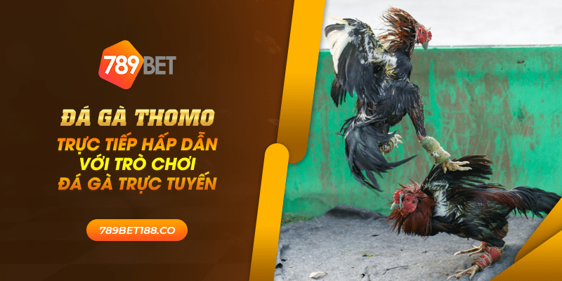39 da ga thomo truc tiep hap dan voi tro choi da ga truc tuyen