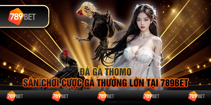 Đá Gà Thomo - Sân Chơi Cược Gà Thưởng Lớn Tại 789bet