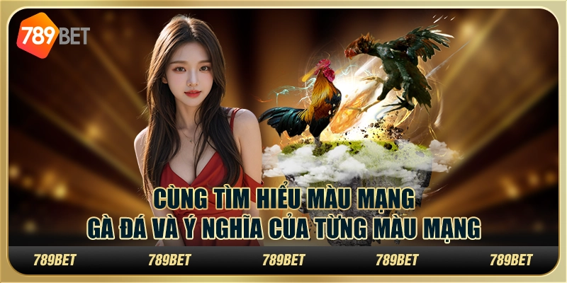 Cùng tìm hiểu màu mạng gà đá và ý nghĩa của từng màu mạng 4 Cùng tìm hiểu màu mạng gà đá và ý nghĩa của từng màu mạng