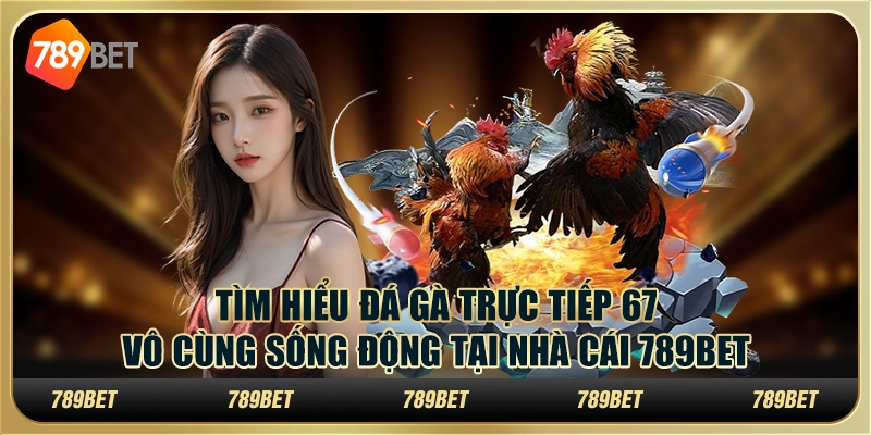 Tìm hiểu đá gà trực tiếp 67 vô cùng sống động tại nhà cái 789Bet