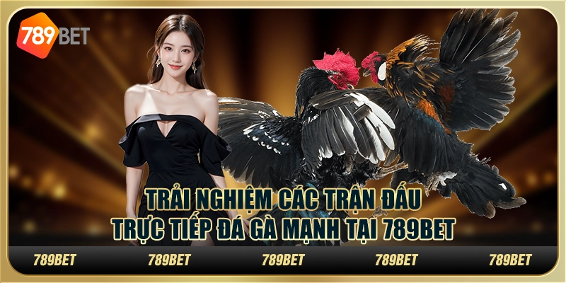Trải Nghiệm Các Trận Đấu Trực Tiếp Đá Gà Mạnh Tại 789bet