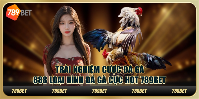3 Trai nghiem cuoc da ga 888 loai hinh da ga cuc hot 789Bet