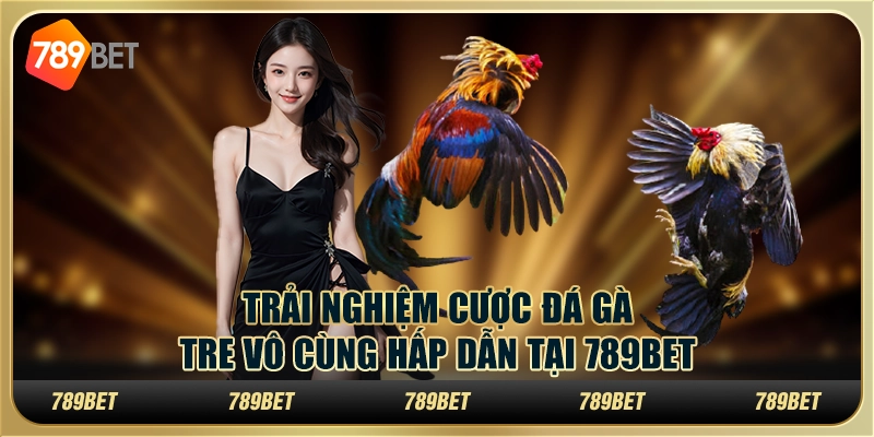 Trải Nghiệm Cược Đá Gà Tre Vô Cùng Hấp Dẫn Tại 789bet