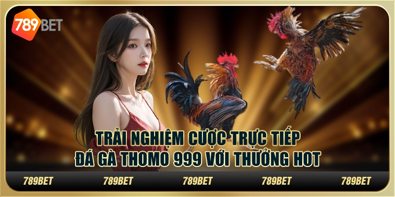 Trải Nghiệm Cược Trực Tiếp Đá Gà Thomo 999 Với Thưởng Hot 4 Trải Nghiệm Cược Trực Tiếp Đá Gà Thomo 999 Với Thưởng Hot