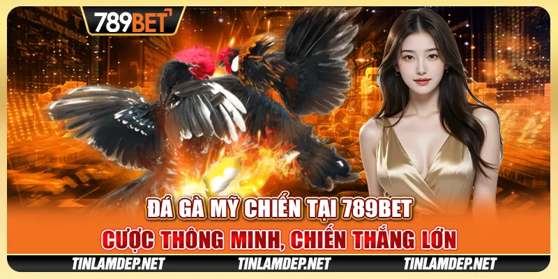 Đá Gà Mỹ Chiến Tại 789bet - Trải Nghiệm Cược Đỉnh Cao