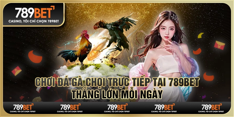 Chơi Đá Gà Chọi Trực Tiếp Tại 789bet, Thắng Lớn Mỗi Ngày