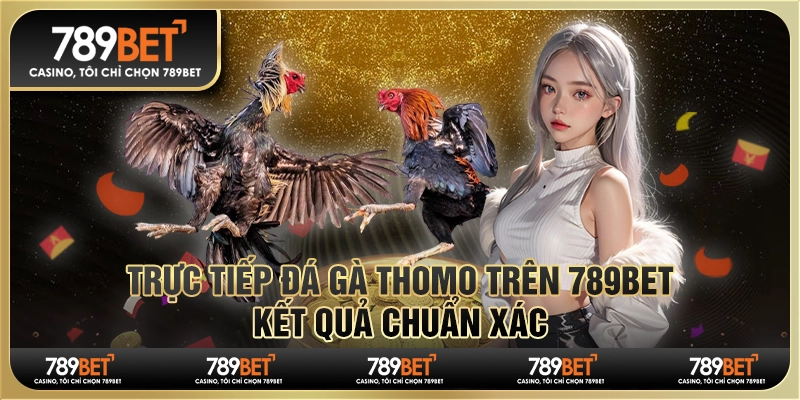 Chơi Trực Tiếp Đá Gà Thomo Trên 789bet - Kết Quả Chuẩn Xác