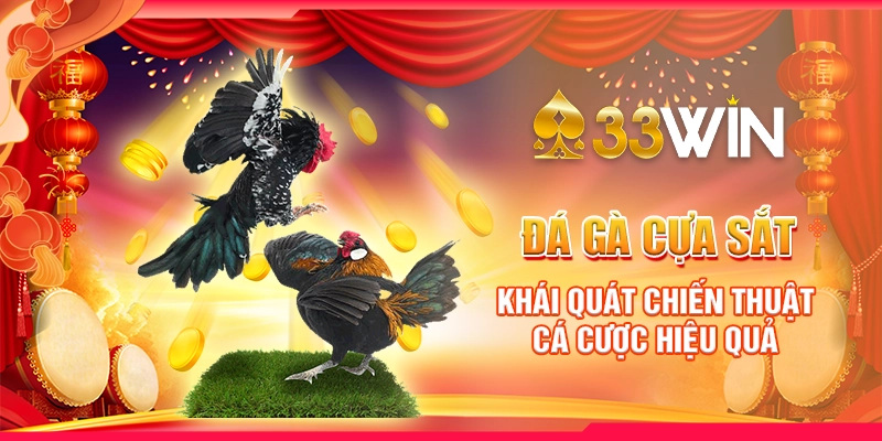 Đá Gà Cựa Sắt: Khái Quát Chiến Thuật Cá Cược Hiệu Quả 4 Đá Gà Cựa Sắt: Khái Quát Chiến Thuật Cá Cược Hiệu Quả