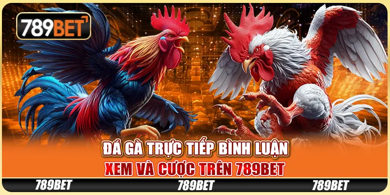 Đá Gà Trực Tiếp Bình Luận - Xem Và Cược Trên 789bet
