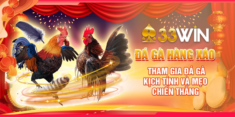 Đá Gà Hàng Xáo : Tham Gia Đá Gà Kịch Tính Và Mẹo Chiến Thắng