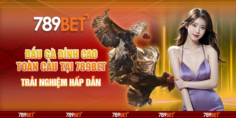Cược Đấu Gà Đỉnh Cao Toàn Cầu Tại 789bet – Trải Nghiệm Hấp Dẫn