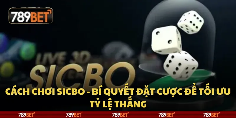 Cách chơi Sicbo - Bí quyết đặt cược để tối ưu tỷ lệ thắng