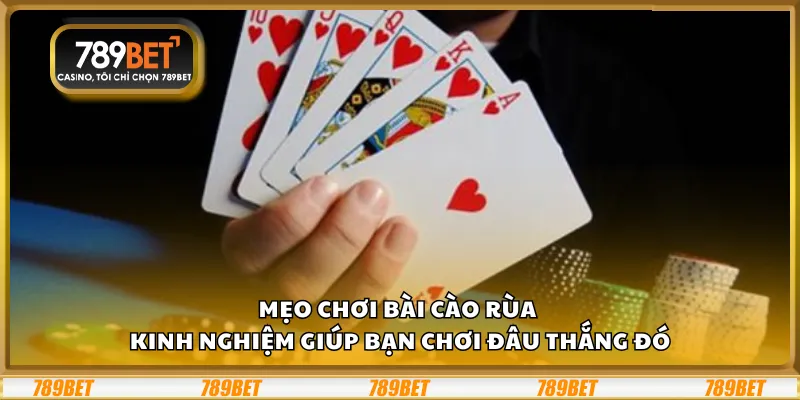 Mẹo chơi bài cào rùa – Kinh nghiệm giúp bạn chơi đâu thắng đó