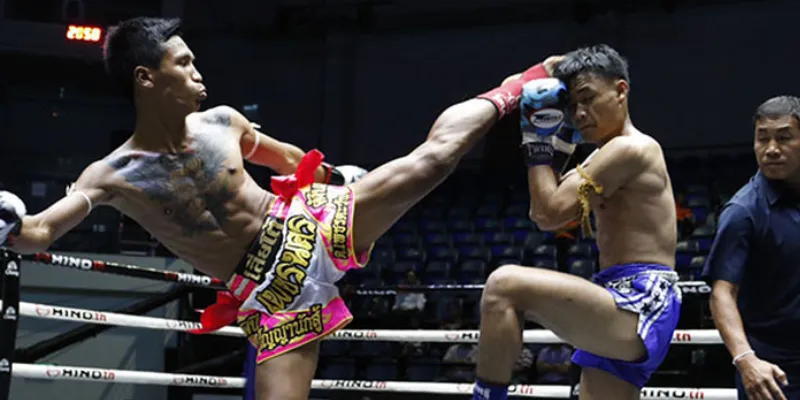 Khái quát về cá cược boxing