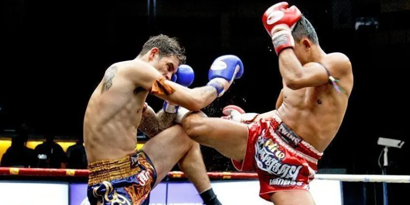 Các loại kèo boxing phổ biến nhất