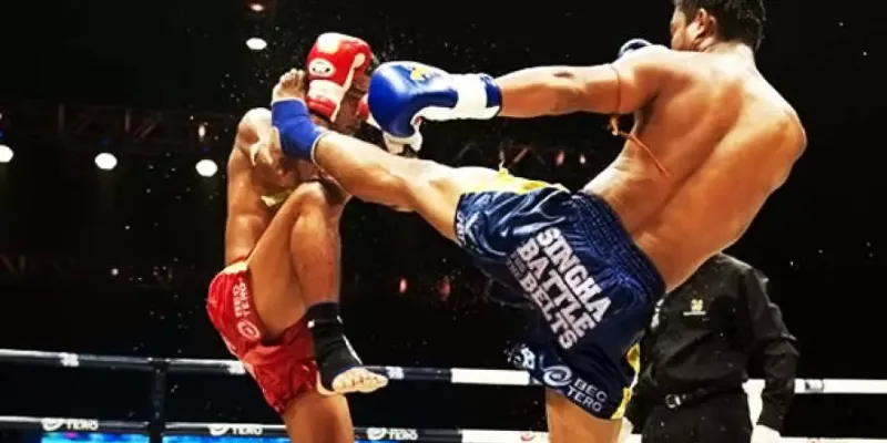 Mẹo cá cược boxing giúp tận dụng cơ hội chiến thắng