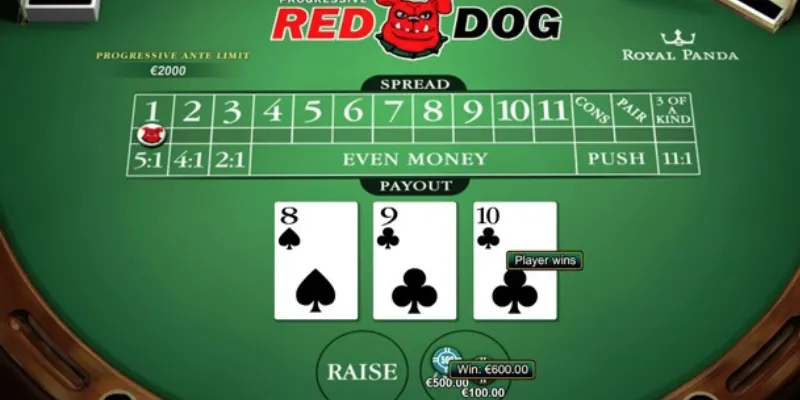 Nắm vững quy tắc chơi Red Dog Poker