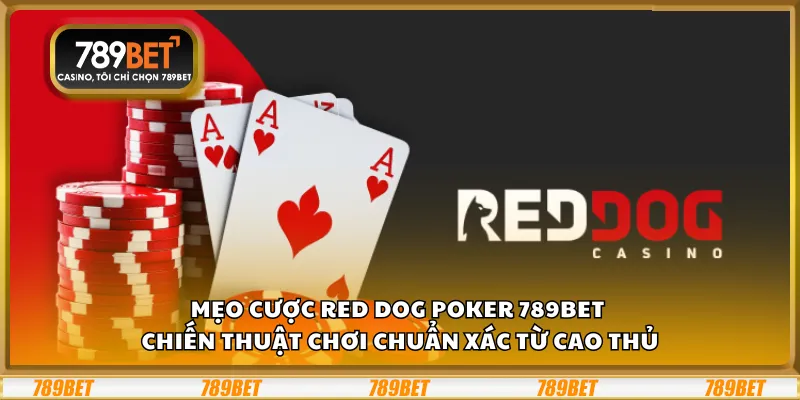 Mẹo cược Red Dog Poker 789Bet – Chiến thuật chơi chuẩn xác từ cao thủ
