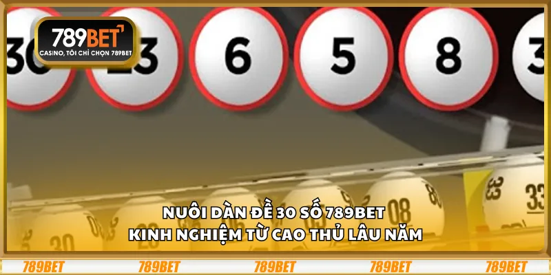 Nuôi dàn đề 30 số 789Bet - Kinh nghiệm từ cao thủ lâu năm